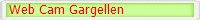 Web Cam Gargellen