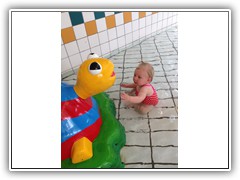 Romy233